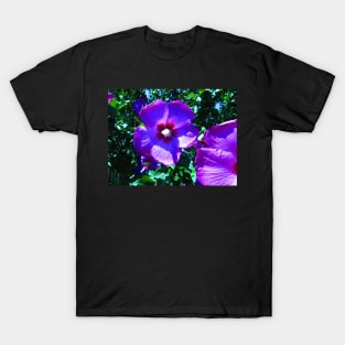 Rose of Sharon Photo Print T-Shirt